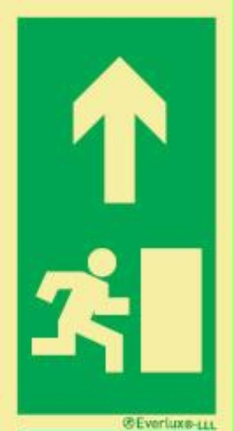 Low location lighting, floor marking Evacuation ro